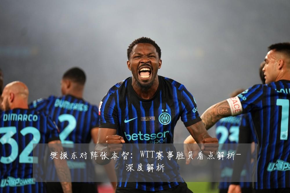 樊振东对阵张本智:WTT赛事胜负看点解析-深度解析